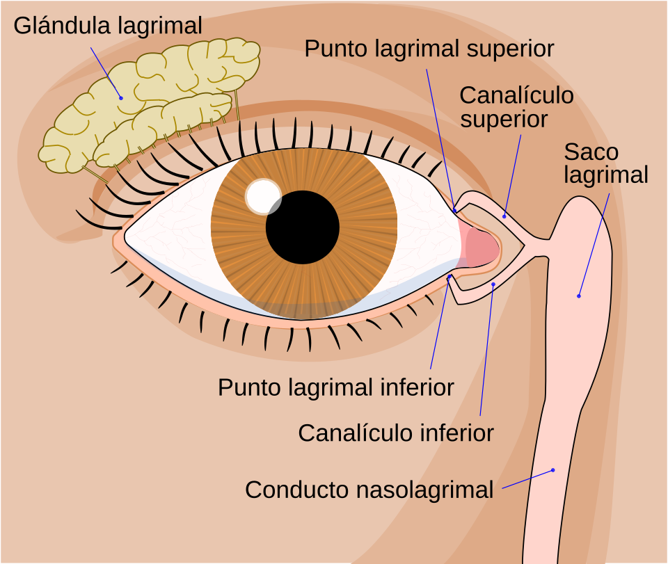 Watery eyes and DCR surgery